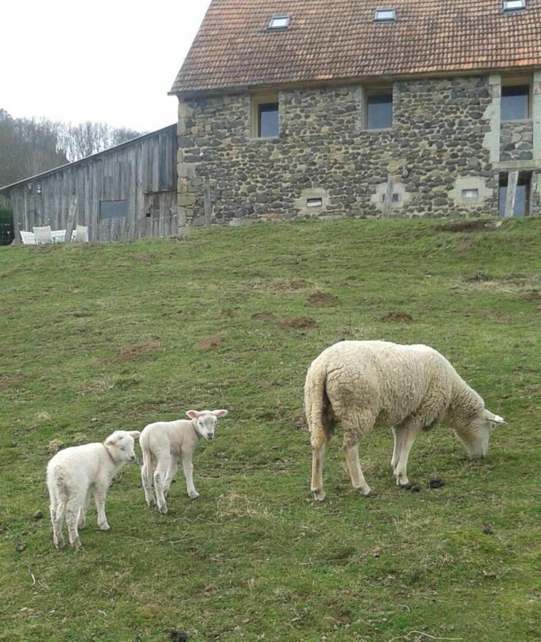 Le Bon Air Est Dans Le Pre Lägenhet Champagnac  Exteriör bild